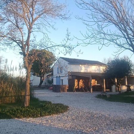 Apartament Mas Constantin Salin-de-Giraud Zewnętrze zdjęcie